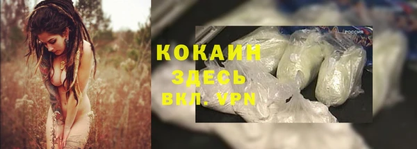 прущая мука Алзамай