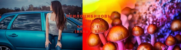 прущая мука Алзамай