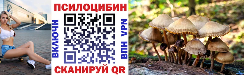 магазин продажи наркотиков  Томмот  Галлюциногенные грибы мицелий 
